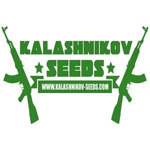 kalashnikov-seeds_download_cat_thumb_cdc6763e-d7b6-41ed-8357-11f59cdd6127_1024x1024113