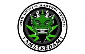 large-the-devils-harvest-seeds-logo57