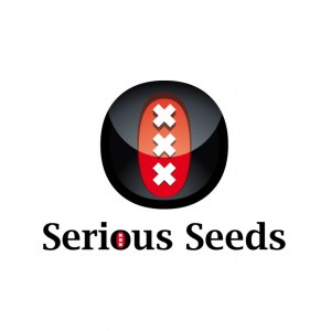 serious-seeds21
